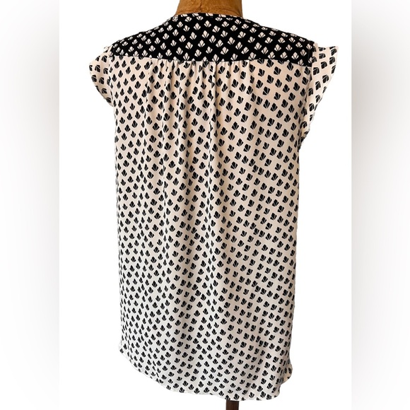 NWOT Ann Taylor Loft Black and White Sheer Tee S - Picture 5 of 8